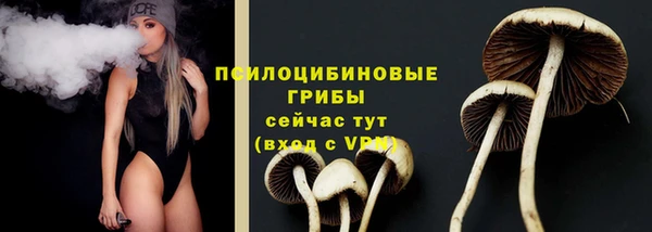 первитин Алексин