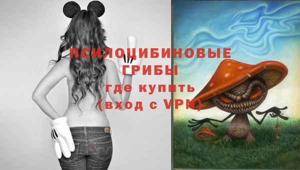 гидропоника Алзамай