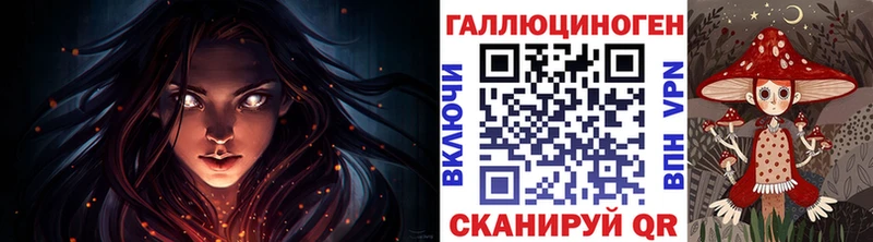 Галлюциногенные грибы Psilocybe Завитинск