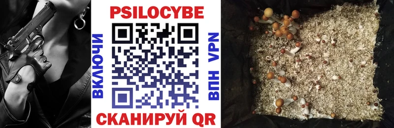 Псилоцибиновые грибы Cubensis закладка Завитинск