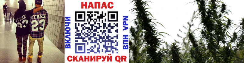 Марихуана тримм где купить Завитинск